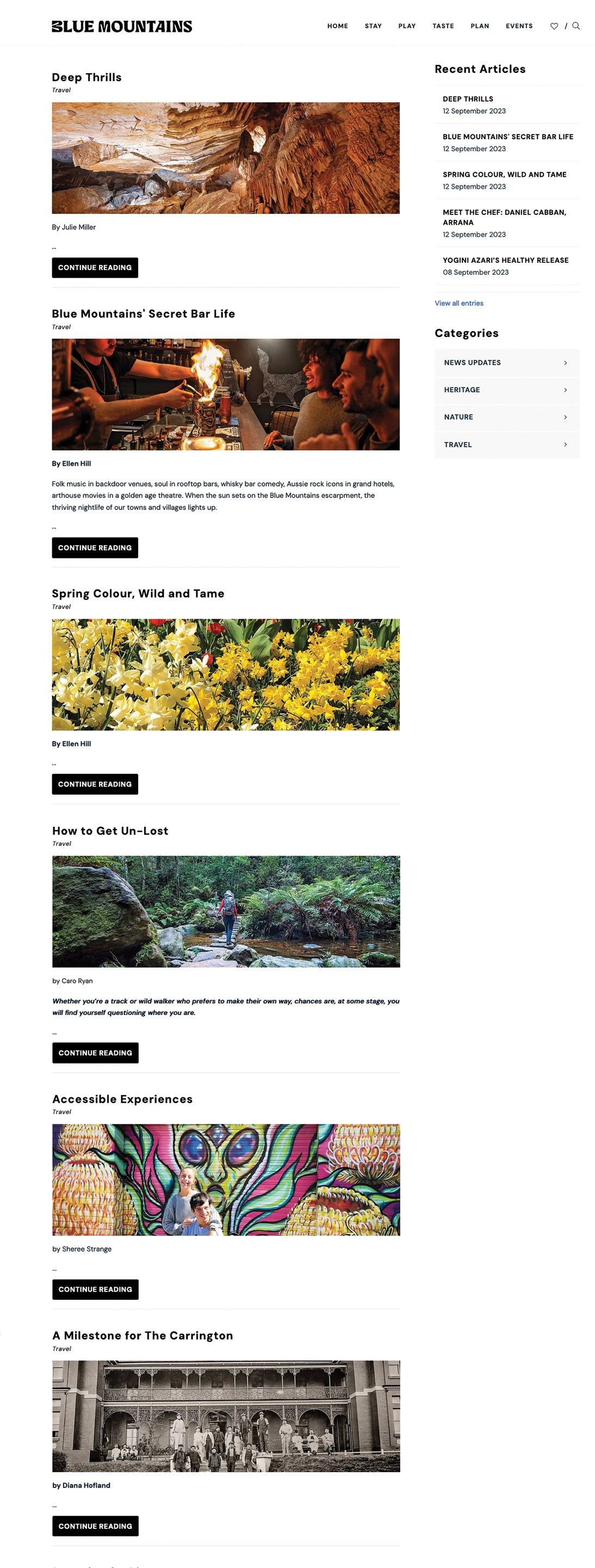 Bespoke website article/blog and media release with photography