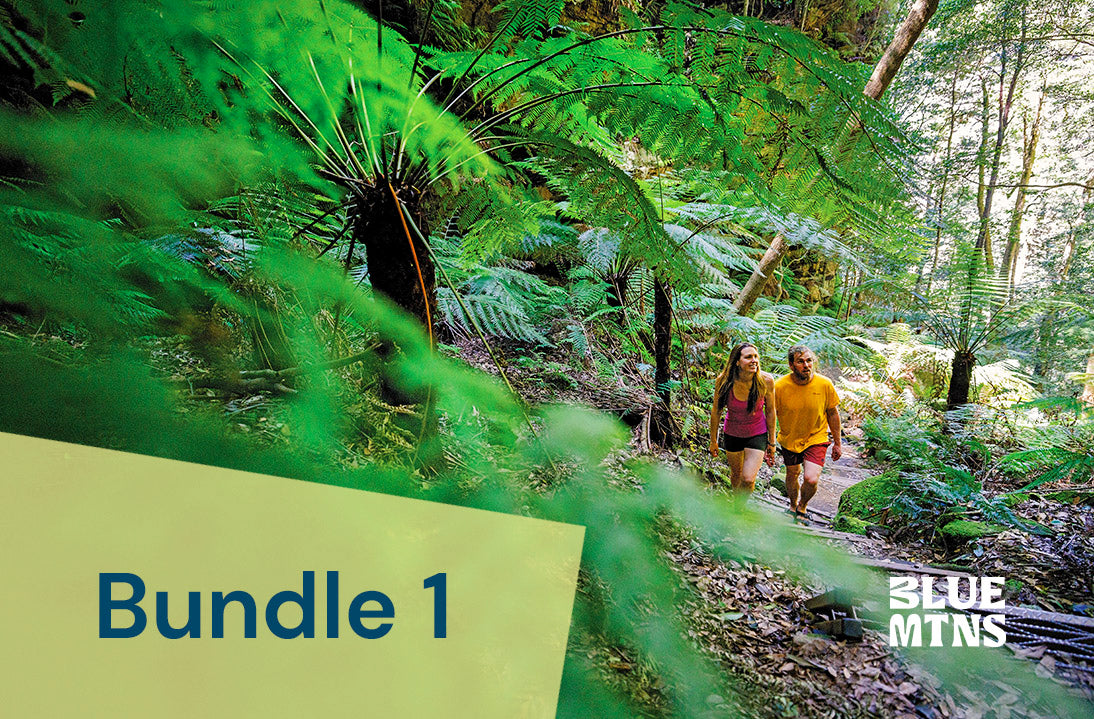 Bundle 1: website listing, book now button, social media posts