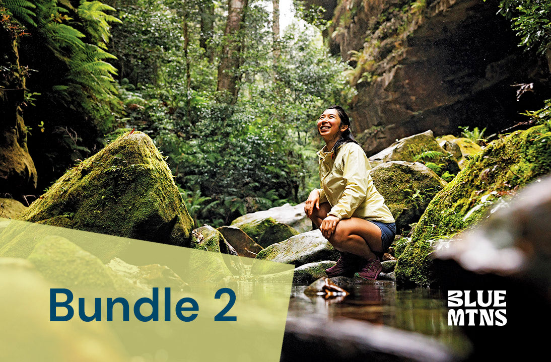 Bundle 2: website listings, book now buttons, social media posts, website blog, e-news article