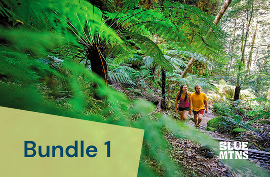 Bundle 1: website listing, book now button, social media posts