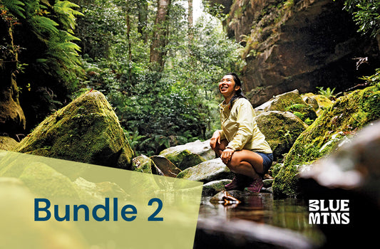Bundle 2: website listings, book now buttons, social media posts, website blog, e-news article