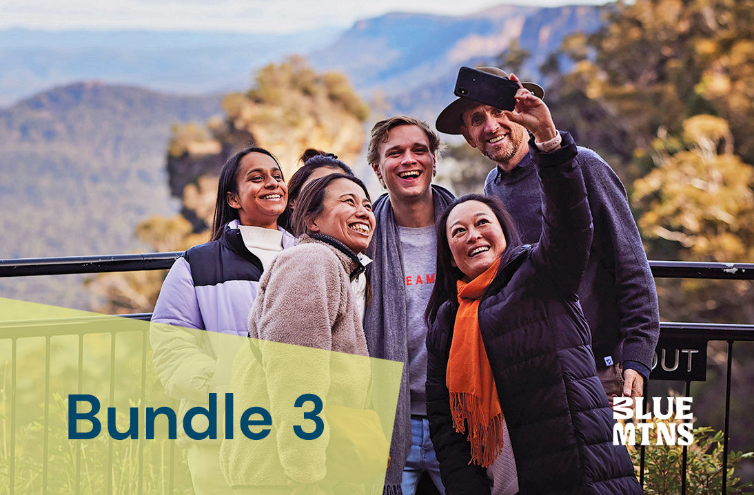 Bundle 3: website listings, book now buttons, social media posts, section masthead image, website blog, e-news article
