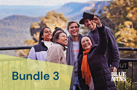 Bundle 3: website listings, book now buttons, social media posts, section masthead image, website blog, e-news article